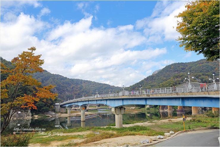 치악산 단풍, 원주 소금산 출렁다리 걷고.. 강원도 여행코스