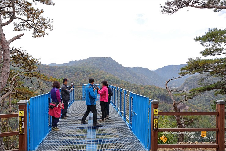 치악산 단풍, 원주 소금산 출렁다리 걷고.. 강원도 여행코스