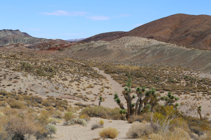 레드락캐년(Red Rock Canyon) 주립공원으로 시작한 유니투어 홍사장과 캘리포니아 오지탐험 여행