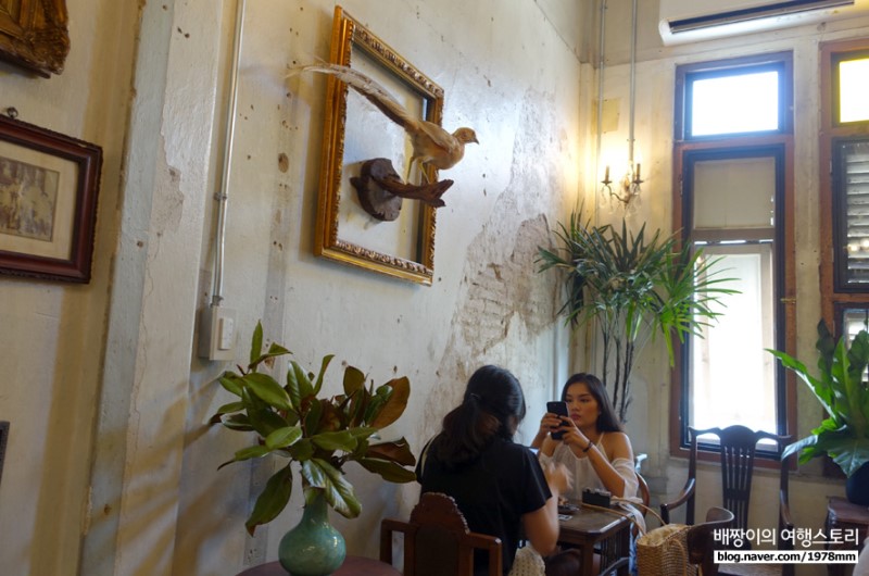 배짱이의 방콕 한달살기 21-1, 왓아룬 주변 고풍스러운 방콕 카페 Ha Tien Cafe