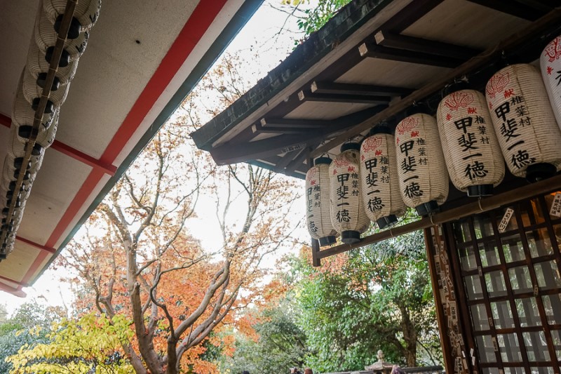일본 온천여행 에어서울 타고 야마구치 우베로 (수하물, 기내식)