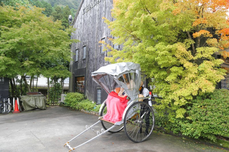 일본온천여행 유후인료칸 모쿠렌, 가이세키 대박! 가을 해외여행에 제격