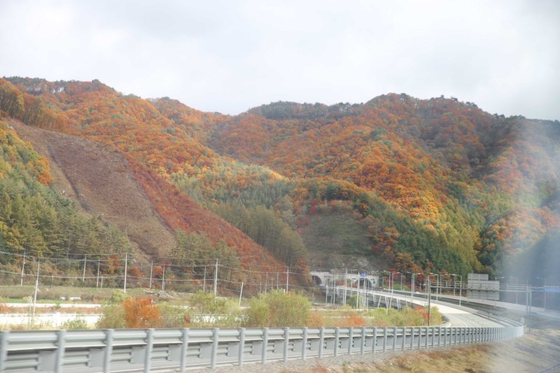 일본온천여행 유후인료칸 모쿠렌, 가이세키 대박! 가을 해외여행에 제격