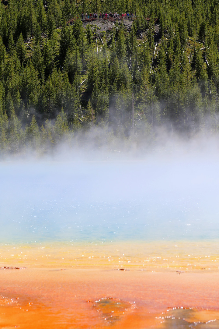 옐로스톤 로워가이서베이슨(Lower Geyser Basin)의 Fountain Paint Pot과 Grand Prismatic Spring