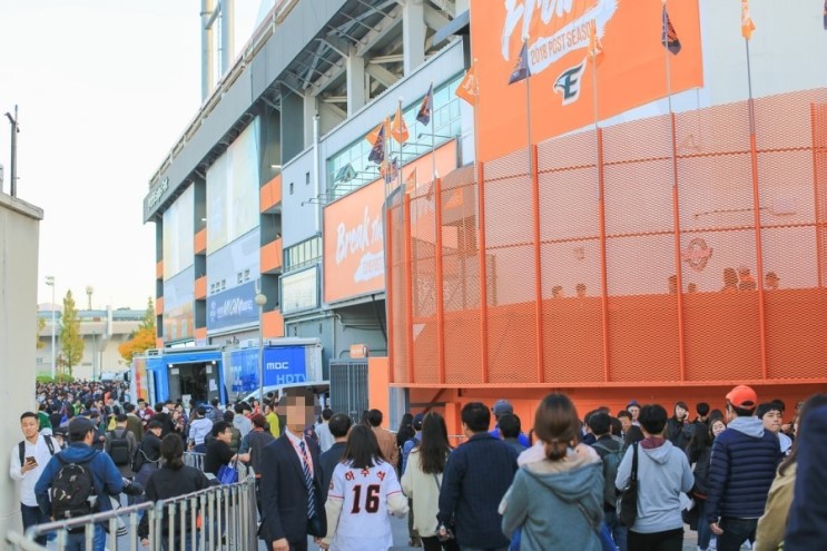 11년 만에 가을야구! 한화이글스 장미꽃 오렌지 퍼포먼스 감동이야