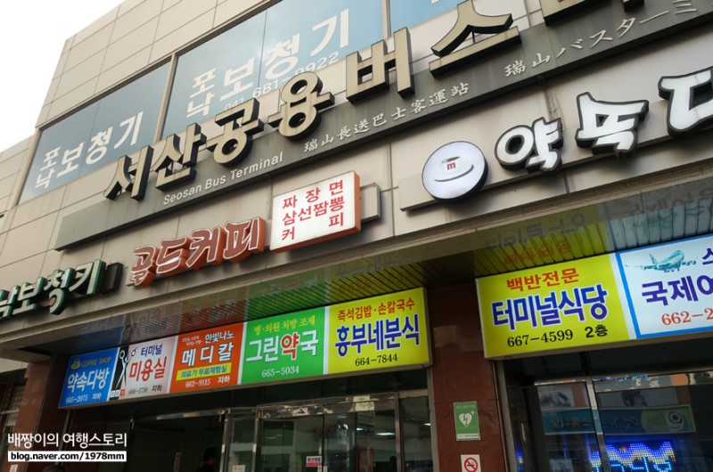 대구 번쩍! 충남 번쩍! 여행 강의 & 맛집 탐방