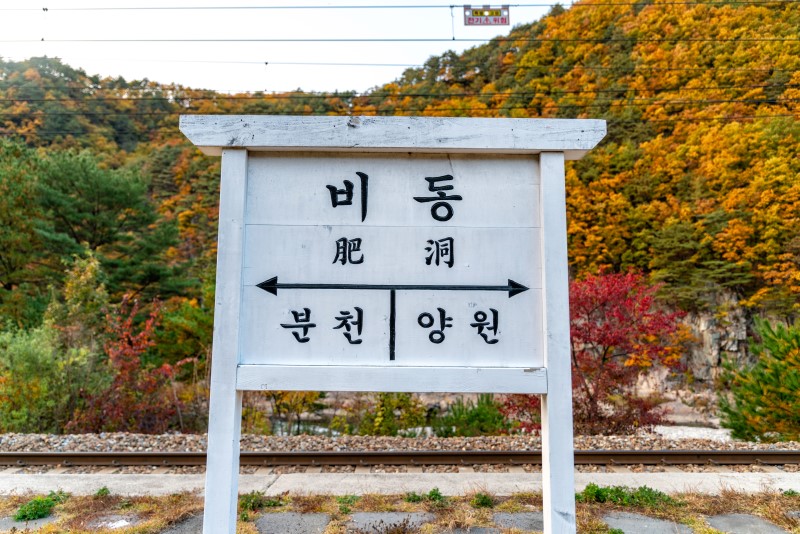 [단풍놀이 명소 추천] 가을여행주간에 가볼만한 경북 봉화 단풍여행 1박2일 코스