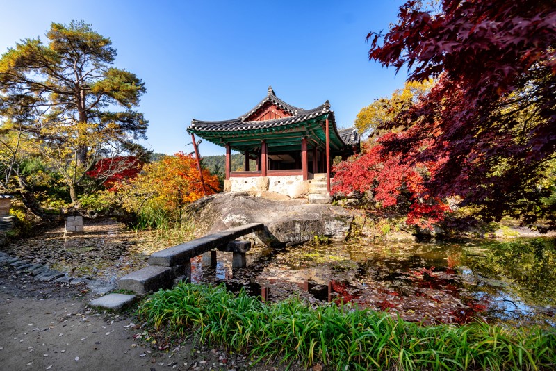 [단풍놀이 명소 추천] 가을여행주간에 가볼만한 경북 봉화 단풍여행 1박2일 코스