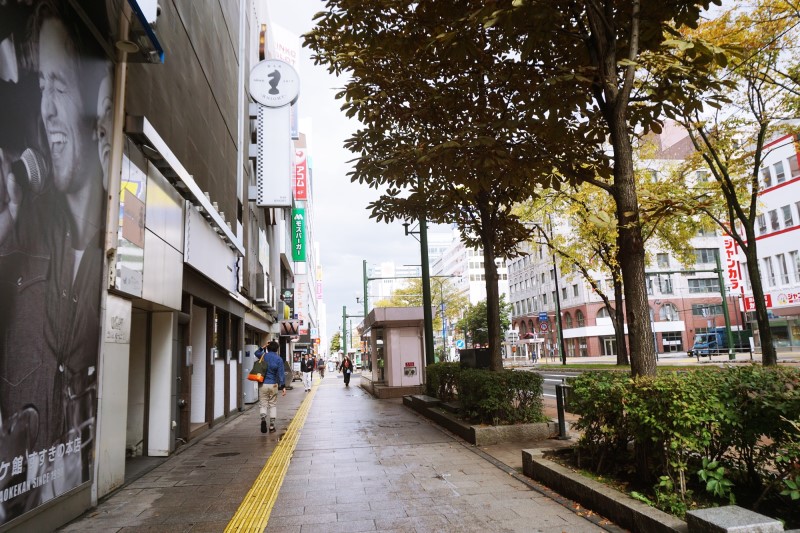 삿포로 호텔 스스키노 근처 숙소, 더 비 vs 다이와 로이넷 비교