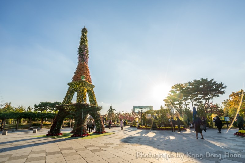2018 가을축제 시간상 가까운 대전 유림공원 국화축제