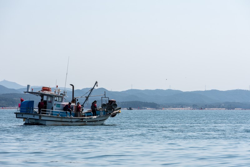 충남 가볼만한곳 홍성 죽도 국내 섬 여행
