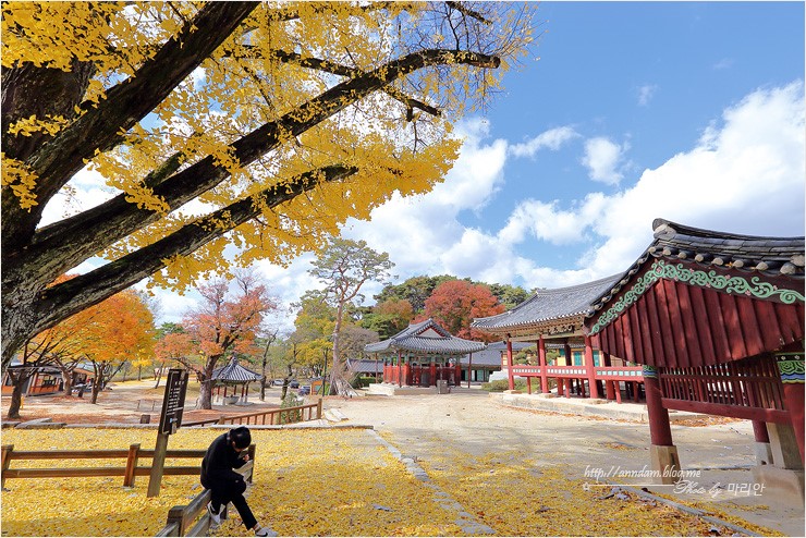 경기도 단풍 명소 여주 신륵사 가을~(2018가을여행주간)