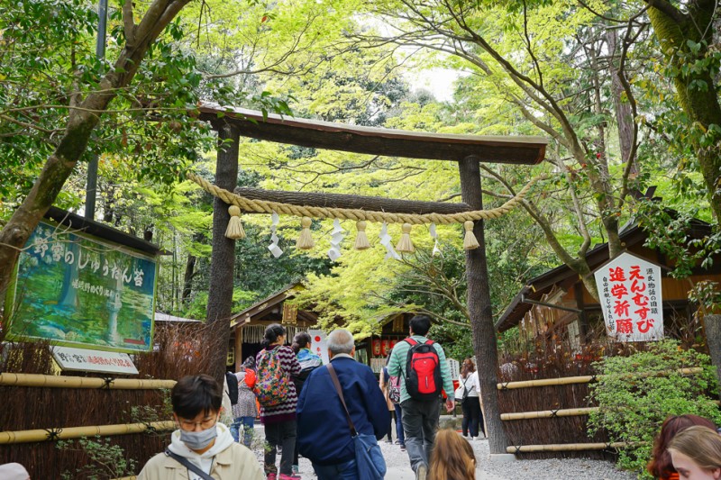 교토 여행 코스 아라시야마 대나무숲 & 위치좋은 교토호텔