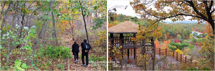 10월 경기도 여주 황학산수목원 단풍 나들이(2018가을여행주간)