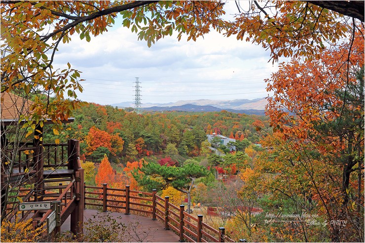 10월 경기도 여주 황학산수목원 단풍 나들이(2018가을여행주간)