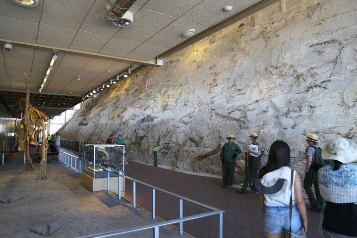 공룡 화석 발굴현장을 직접 볼 수 있는 유타주 다이너소어 준국립공원(Dinosaur National Monument)