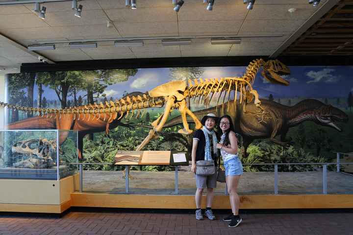 공룡 화석 발굴현장을 직접 볼 수 있는 유타주 다이너소어 준국립공원(Dinosaur National Monument)