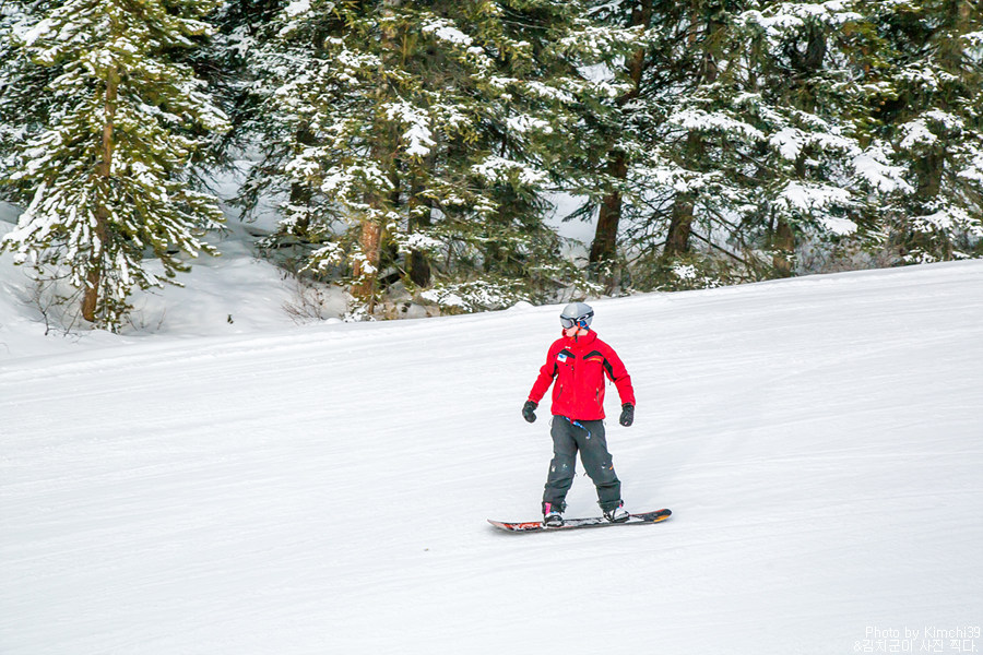 캐나다 스키여행 #05 - 레이크루이스 스키리조트, 겨울 관광 곤돌라