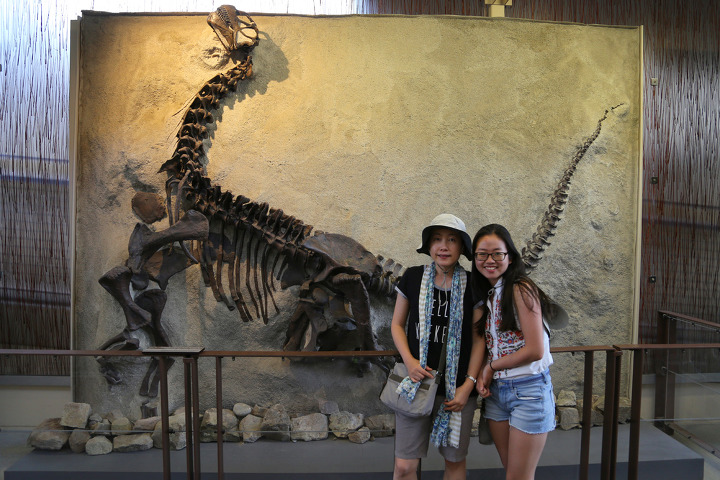 공룡 화석 발굴현장을 직접 볼 수 있는 유타주 다이너소어 준국립공원(Dinosaur National Monument)