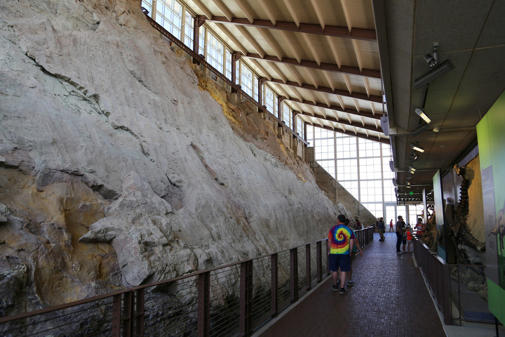 공룡 화석 발굴현장을 직접 볼 수 있는 유타주 다이너소어 준국립공원(Dinosaur National Monument)