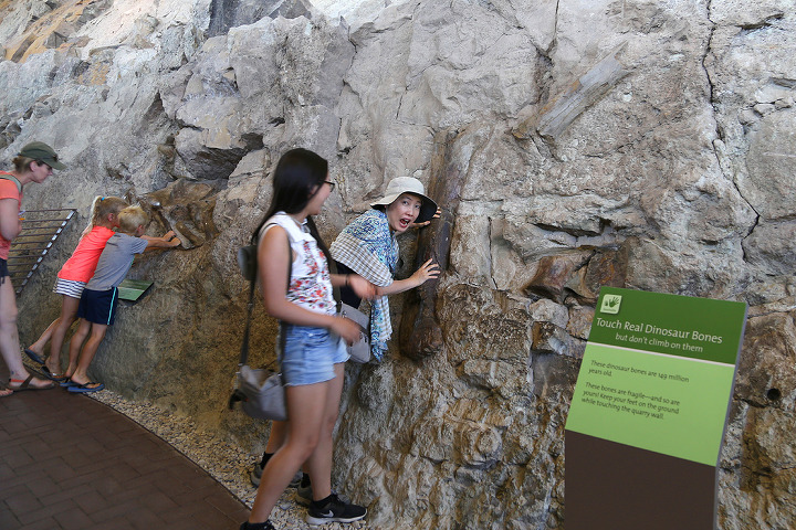 공룡 화석 발굴현장을 직접 볼 수 있는 유타주 다이너소어 준국립공원(Dinosaur National Monument)