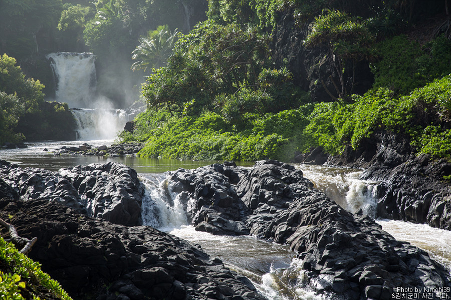 [하와이 자유여행] 마우이 할레아칼라 국립공원 완전 정복 (일출, 트레일)