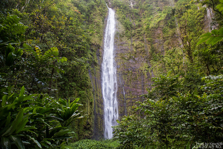 [하와이 자유여행] 마우이 할레아칼라 국립공원 완전 정복 (일출, 트레일)