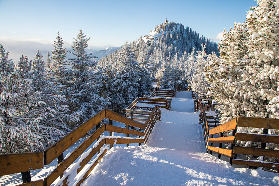 캐나다 겨울여행 - 밴프 곤돌라에서 내려다보는 겨울 풍경