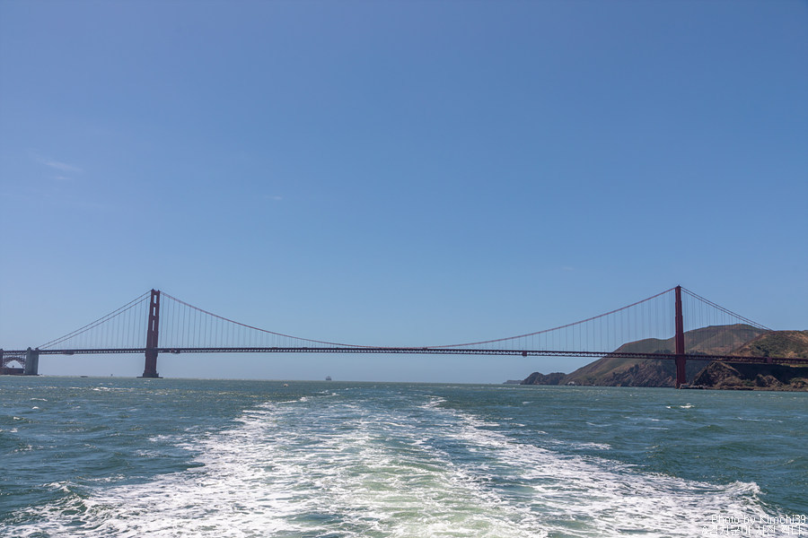 샌프란시스코 여행 - 베이 크루즈를 타고 보는 금문교와 피어39 바다사자