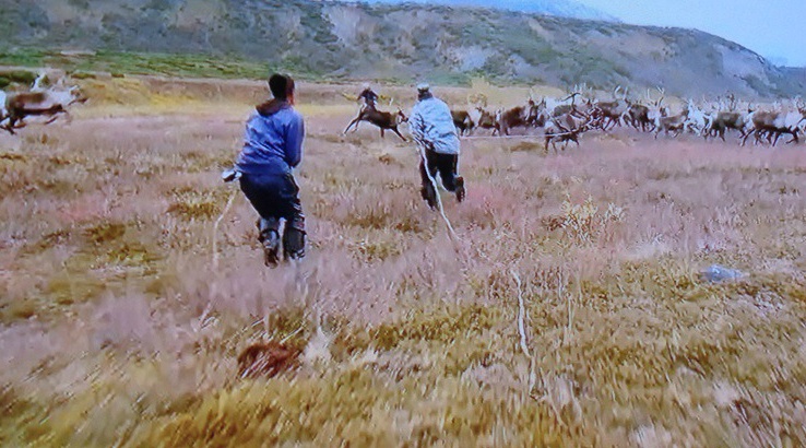  러시아, 캄차카 반도의 동토애서도 농사짓고 산다