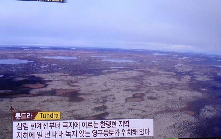  러시아,툰드라 지대의 순록 유목민