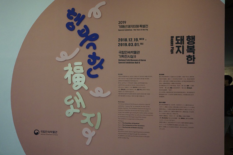  민속박물관의 돼지 전시회(2019년)