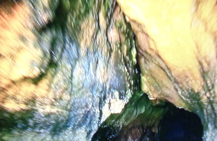  폴투갈 남부 알가르브 카르보에이루의 동굴