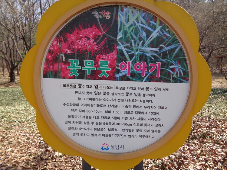  성남시의 중앙공원과 율동공원 3월 산책