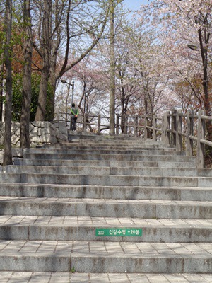  남산 벚꽃 길 걷기 2~1