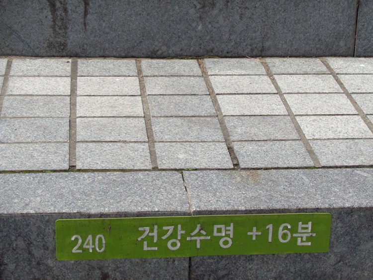  남산 벚꽃 길 걷기 2~1