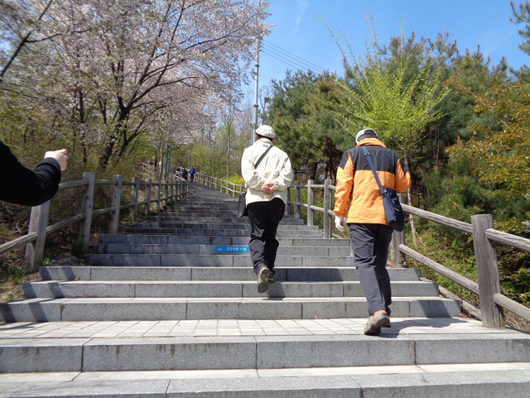  남산 벚꽃 길 걷기 2~1