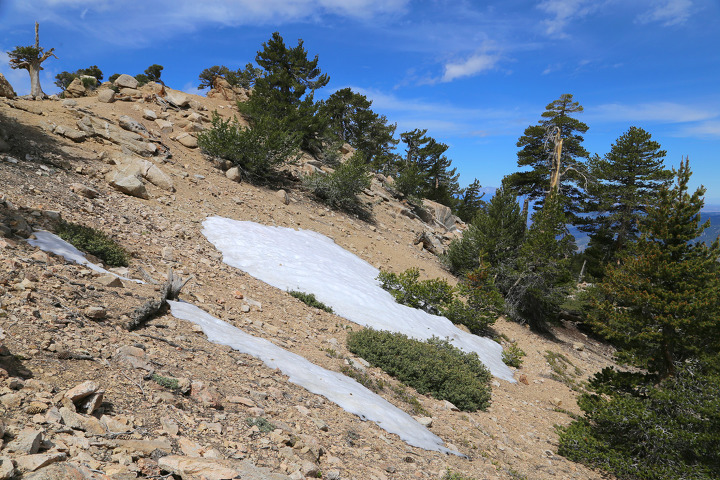 샌드투스노우(Sand to Snow) 준국립공원에 속하는 샌버나디노 봉우리(San Bernardino Peak) 등산
