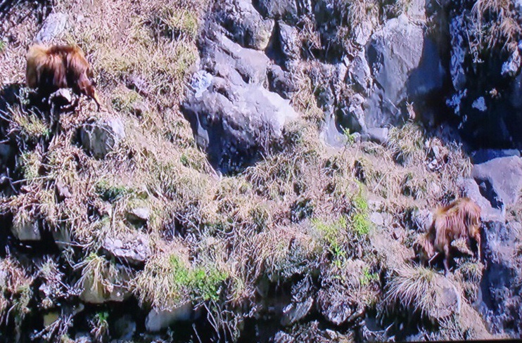  네팔,마나슬루 깊은 산속의 사원  5~2