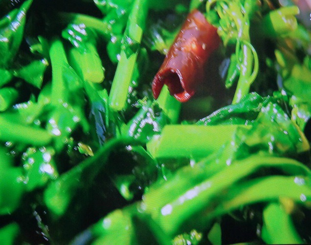  운남성, 뤄핑(羅平)의 유채꽃 바다