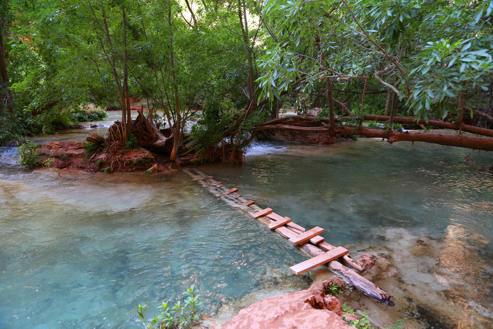 하바수캐년(Havasu Canyon)의 비버 폭포(Beaver Falls)를 지나 콜로라도 강과 합류하는 곳까지...