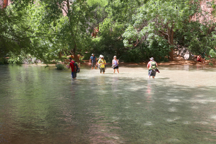 하바수캐년(Havasu Canyon)의 비버 폭포(Beaver Falls)를 지나 콜로라도 강과 합류하는 곳까지...