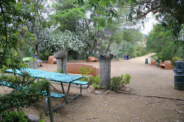 LA 그리피스 공원(Griffith Park) 북쪽 언덕의 여러 트레일과 포인트를 모두 한꺼번에 돌아봤던 하이킹