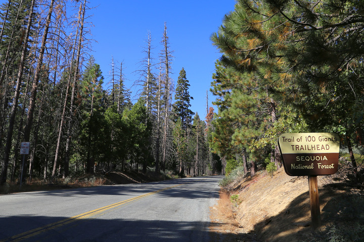 백 명의 거인을 만나는 자이언트세쿼이아(Giant Sequoia) 내셔널모뉴먼트의 Trail of 100 Giants