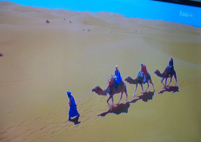  모로코, 사하라사막과 토드라  협곡