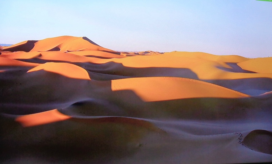  모로코,사하라 사막과 낙타