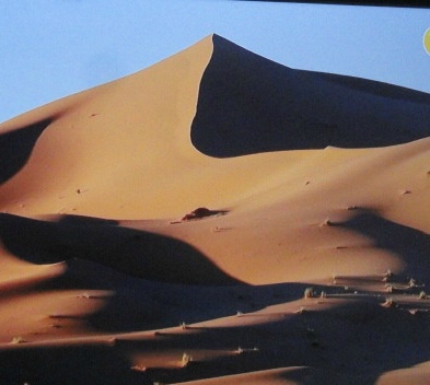  모로코,사하라 사막과 낙타