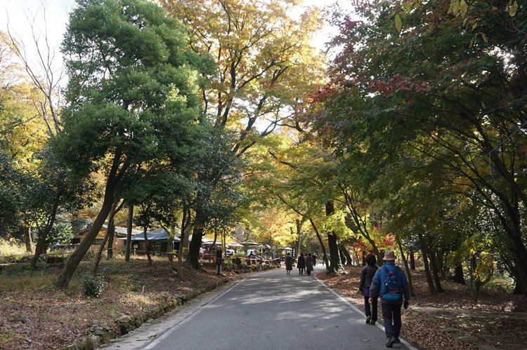  해남 땅끝마을에서 대흥사(大興寺)로  8~1