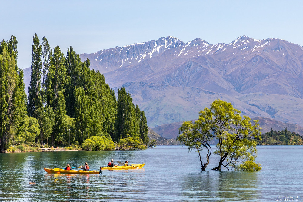 뉴질랜드 캠핑카 여행 #19 - 와나카호수, 댓 와나카 트리(That Wanaka Tree)