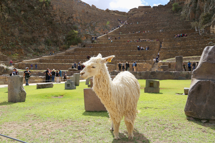 성계투어 3편: 잉카제국 마지막 항전지 오얀따이땀보(Ollantaytambo) 유적과 스카이롯지(Skylodge)